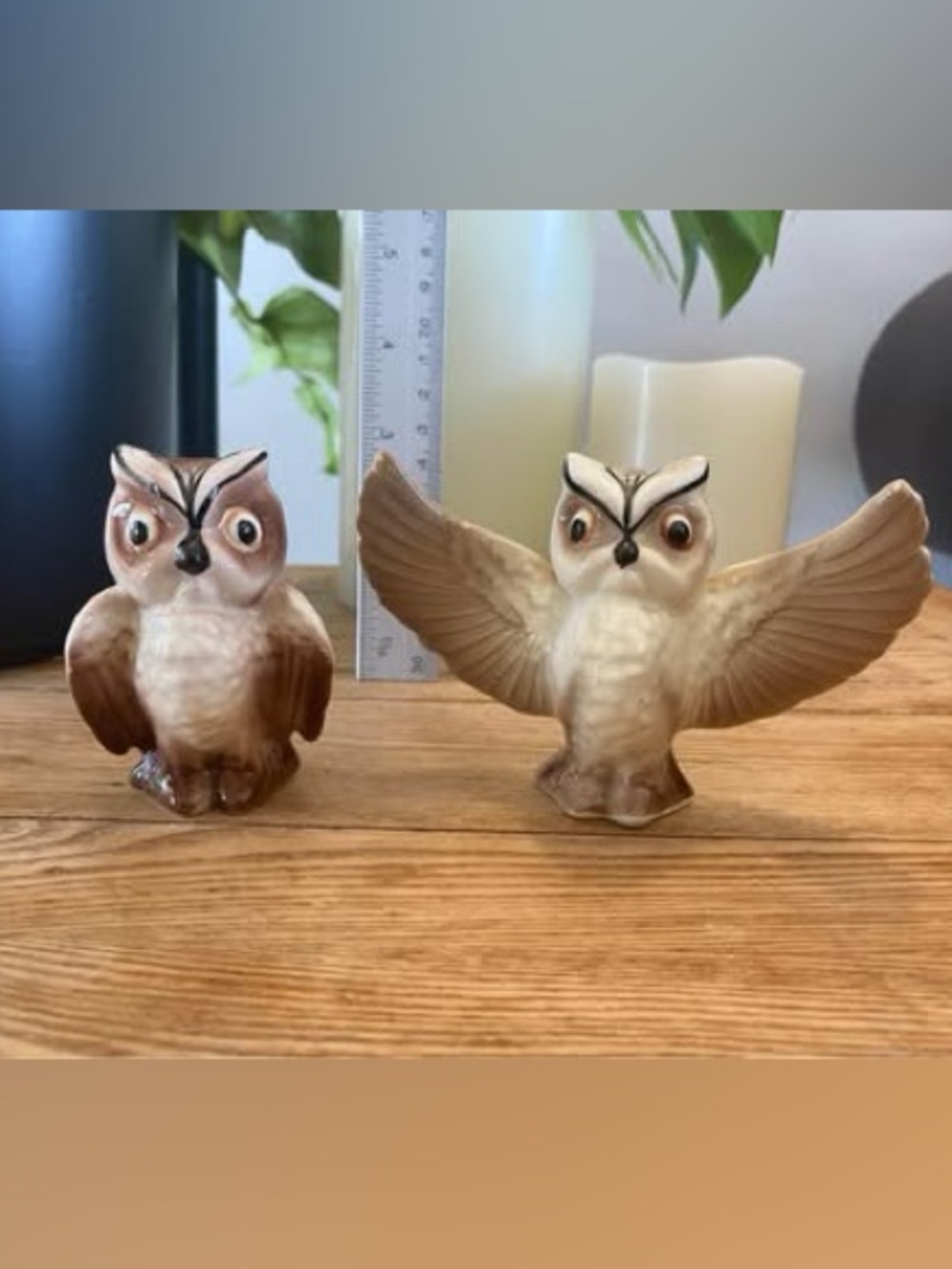 Vintage Ceramic Owl Salt & Pepper Shakers - Wings Folded & Open Set